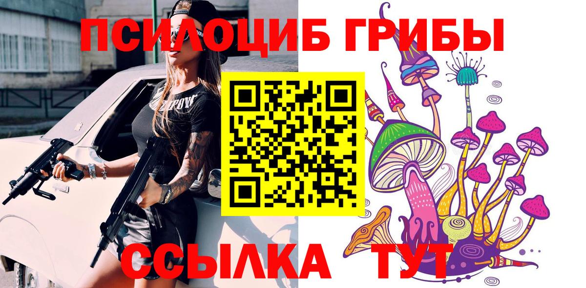 Заинск  Псилоцибиновые грибы мухоморы  Вход с VPN 