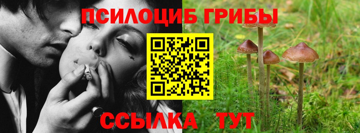 Псилоцибиновые грибы MAGIC MUSHROOMS Заинск